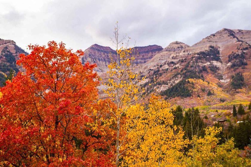 Log Cabin On The Stream Sundance, Utah المظهر الخارجي الصورة
